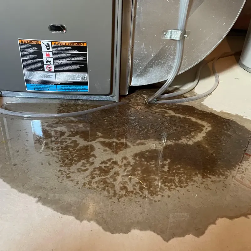 Appliance Leak Cleanup in Lovingston, VA