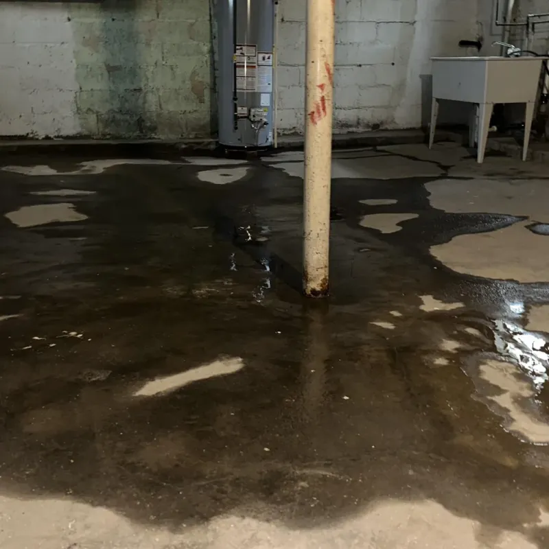 Emergency Water Extraction And Removal in Lovingston, VA